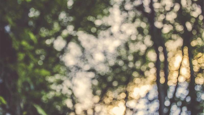 Portfolio Management: Building an Asian Stock Portfolio