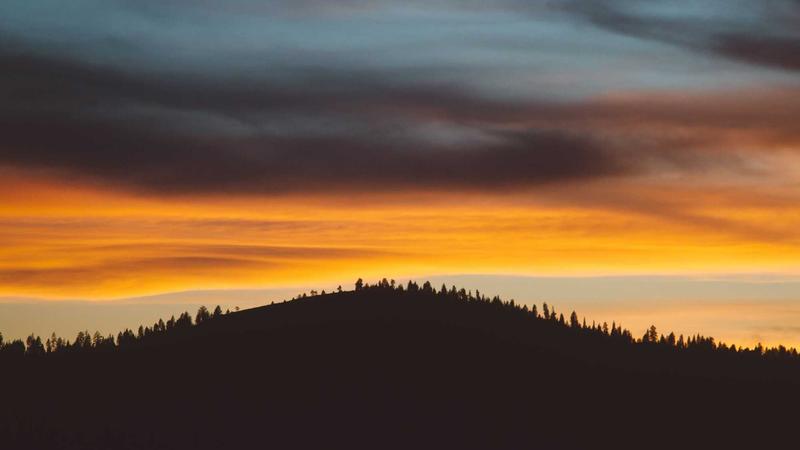 REIT Investment Tutorial: Complete Guide from Beginner to Advanced