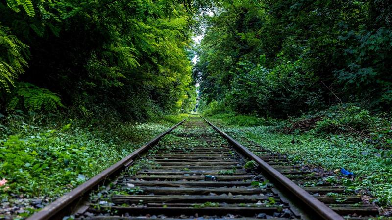 Stock Market Trend Forecast: Short-term Asia Market Outlook