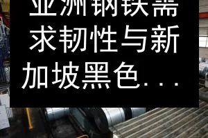 亚洲钢铁需求韧性与新加坡黑色金属交易枢纽