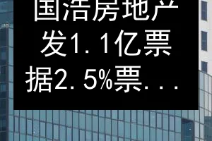 国浩房地产发1.1亿票据 2.5%票息用于运营资金